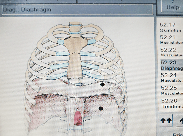 __Diaphragm __IMG_20200613_124210-min