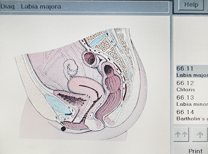 __Labia majora __IMG_20200613_125538-min __Labia majora __IMG_20200613_125538-min