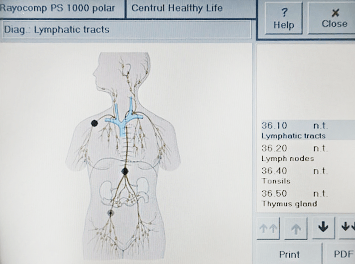 __Lymphatic tracts__ed961f5b-0937-474d-abe4-62d0f5acfe5b-min