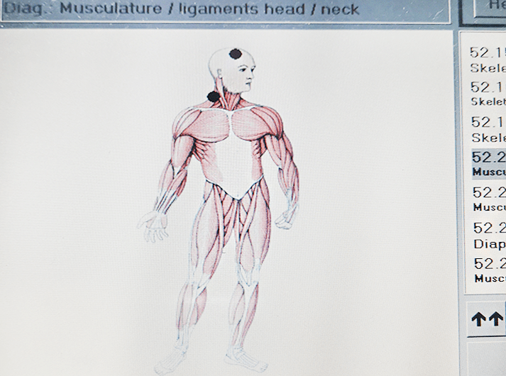 __Musculature - ligaments head - neck __IMG_20200613_124202-min __Musculature - ligaments head - neck __IMG_20200613_124202-min