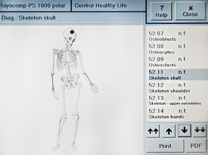 __Skeleton skull__WhatsApp Image 2020-06-14 at 19.37.48-min __Skeleton skull__WhatsApp Image 2020-06-14 at 19.37.48-min