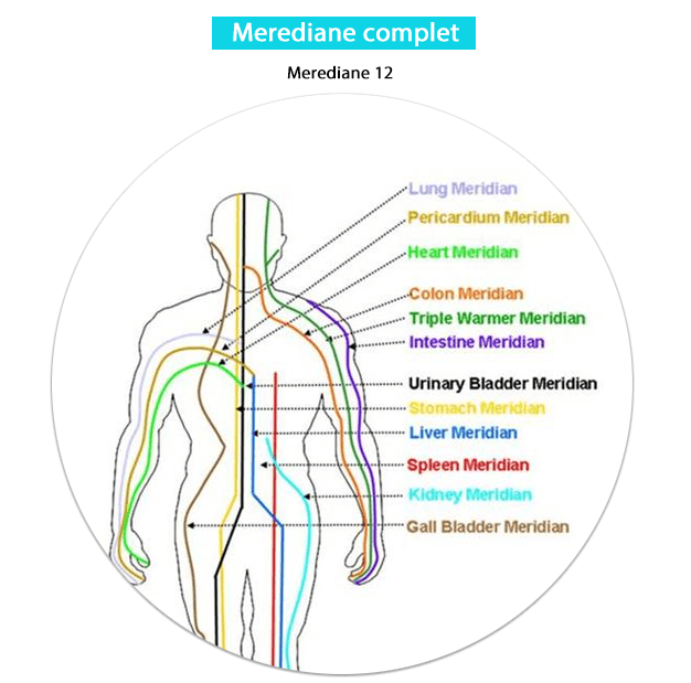 Testare Meridiane complet-min