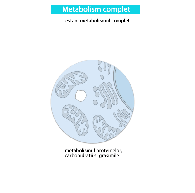 Testare metabolism complet-min