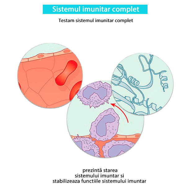 Testare sistemului imunitar complet-min