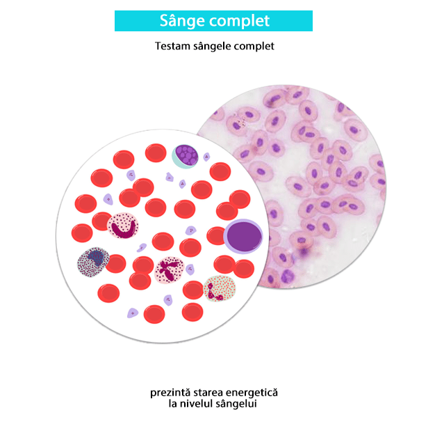 Testare sânge complet-min