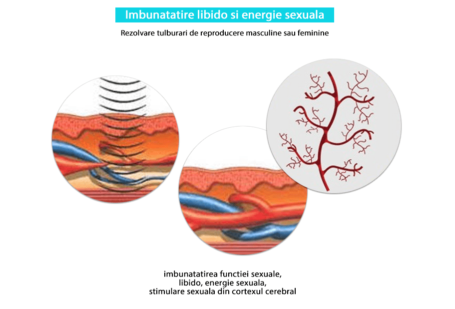 libido-ul si energia sexuala-min