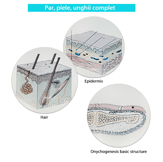 Par, piele, unghii complet biorezonanta-min