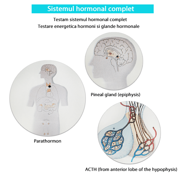 Testare - Sistemul hormonal complet biorezonanta-min