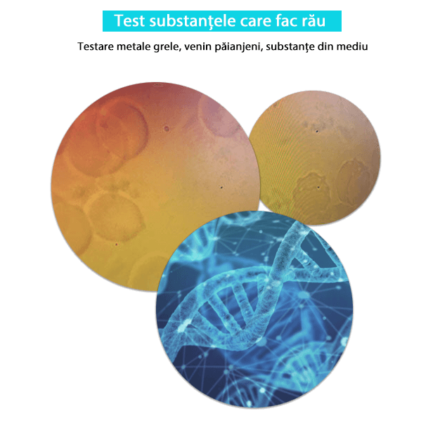 Substantele care fac rau Biorezonanta Testare metale grele, venin păianjeni, substanțe din mediu(1)