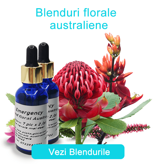 Blenduri Florale Australiene Blenduri florale australiene