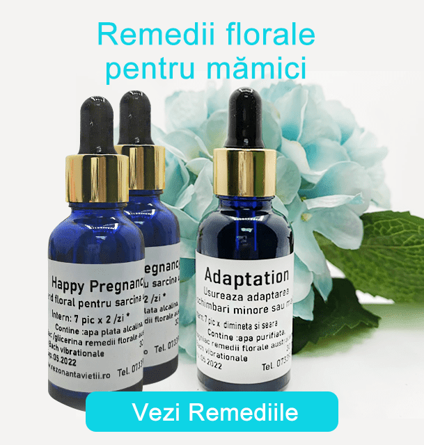 Remedii florale pentru mamici- Rezonantavietii Remedii florale pentru mamici- Rezonantavietii