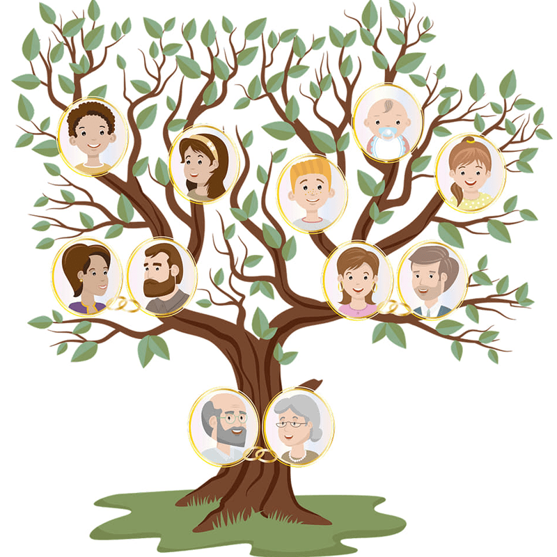 3 - Consiliere psihogenealogica-min